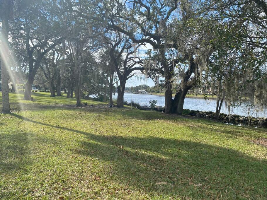 Chic Pad In Center Of Seminole Heights-322 Leilighet Tampa Eksteriør bilde
